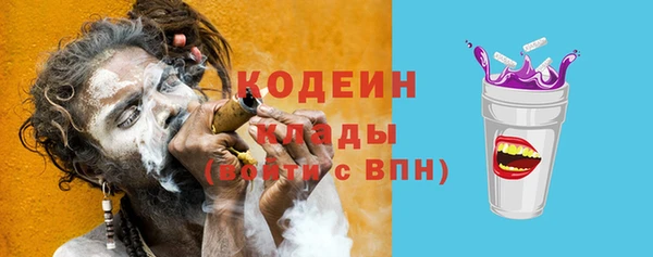 хмурый Арсеньев