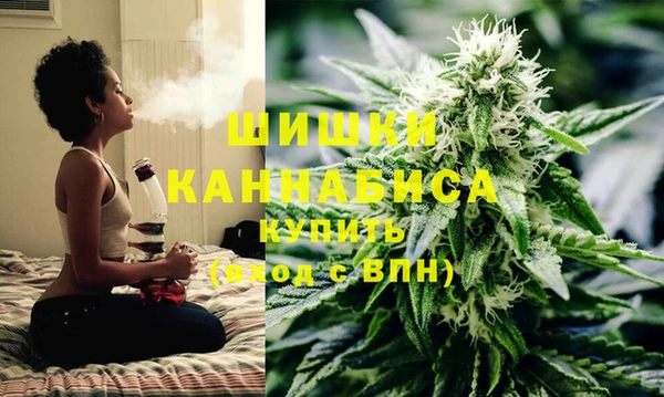 хмурый Арсеньев