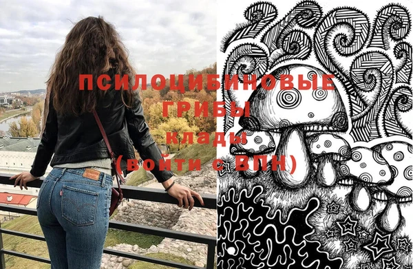 хмурый Арсеньев