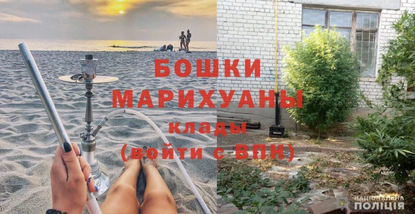 хмурый Арсеньев