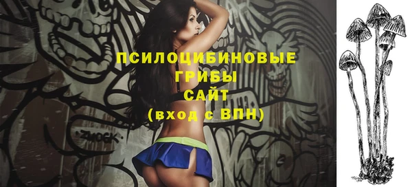 хмурый Арсеньев
